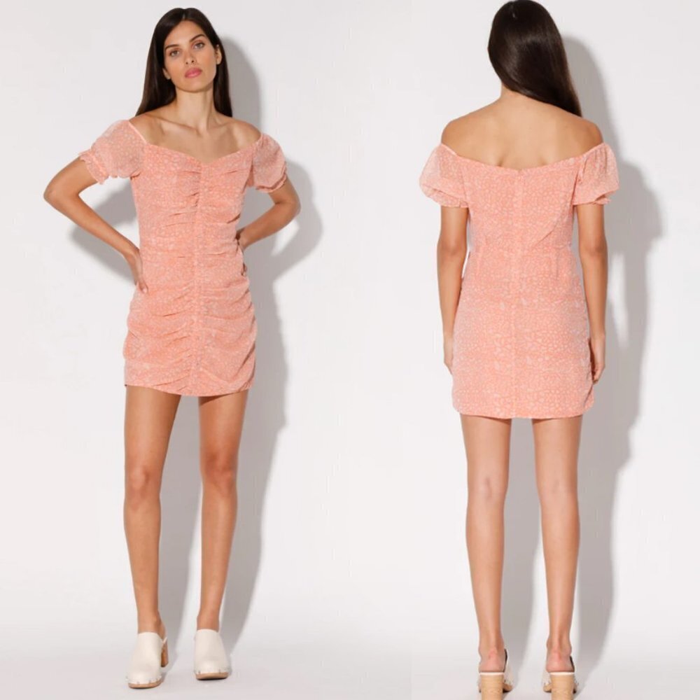 NWT Walter Baker Beverly Dress, Peach Jaguar Size 10